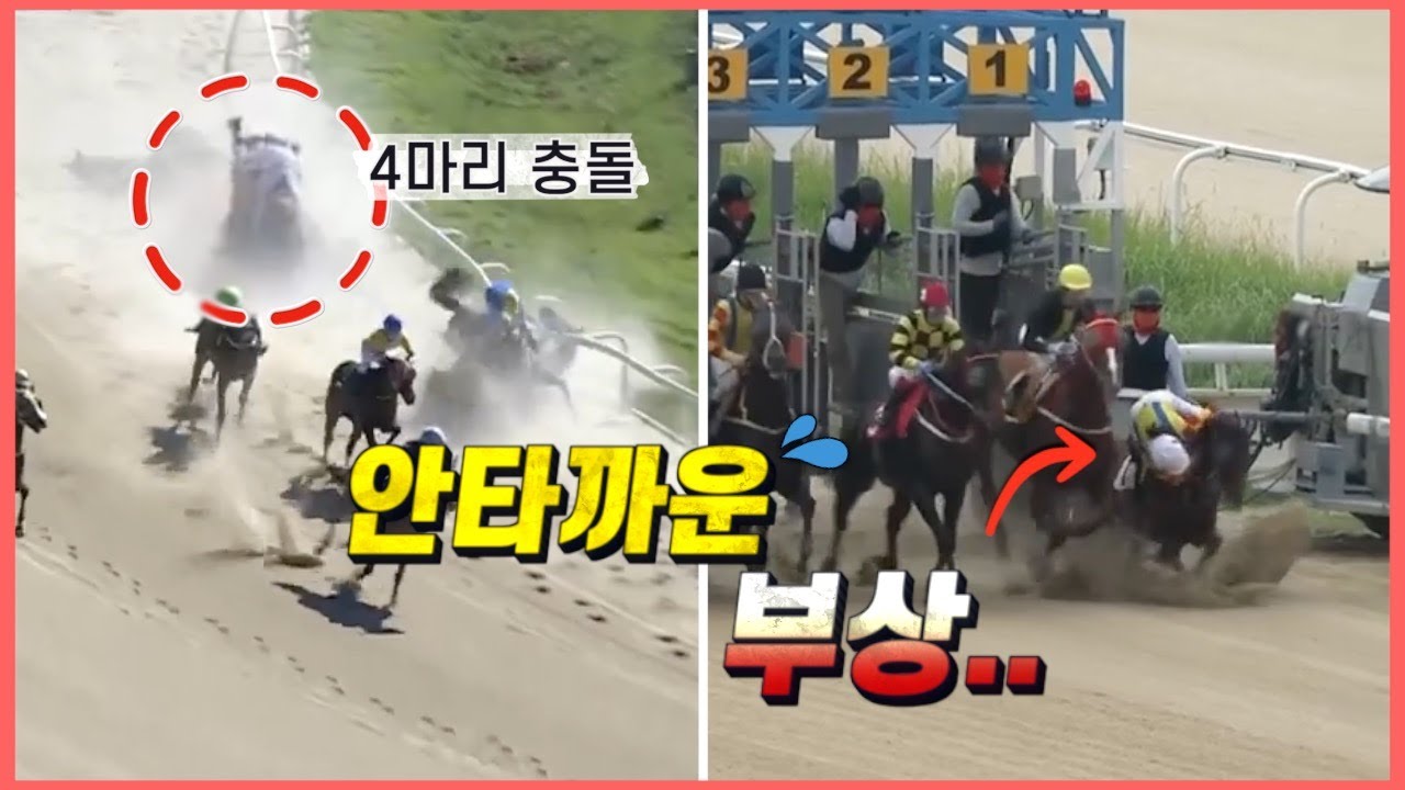 경마팬이라면 보기 힘든 경주들