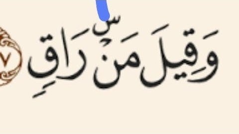 كيف تقرأ  وصلا ووقفا . سوره القيامه . حكم النون الساكنه . معني  السكت عند حفص