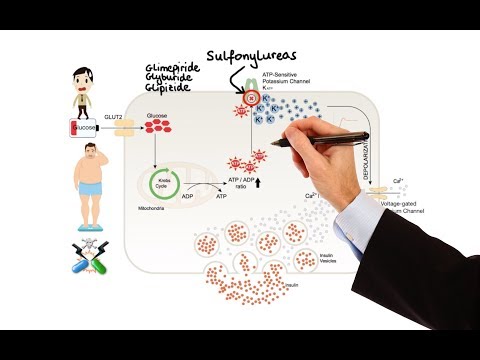 Pharmacology - DRUGS FOR DIABETES (MADE EASY)