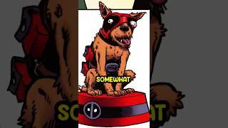 The Sad Origin of Dogpool... #deadpool #dogpool #wolverine #marvel #marvelcomics #shorts #comics