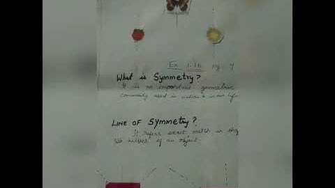 5th STD Maths ( Symmetry)