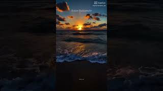 Aslan Babam #ytdayibenionecikarnolur #baba #duygusal