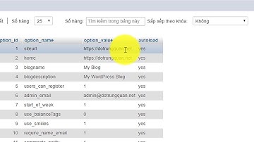 Hướng đẫn thay đổi URL website WordPress trong phpMyAdmin | AZDIGI HOST