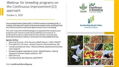 Webinar for breeding programs on the Continuous Improvement (CI) approach
