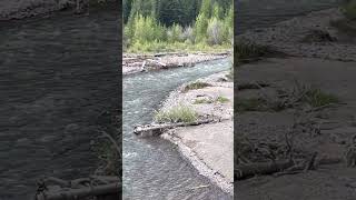 Detour With The Dadmans - Entering Yellowstone!!