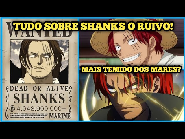 O SEGUNDO SOBERANO DOS MARES NÃO É LUFFY?O PERSONAGEM QUE PODE SER