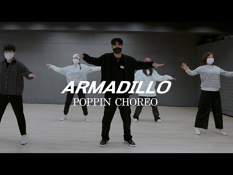 Balming Tiger - Armadillo <strong>POPPIN</strong> choreo l <strong>POPPIN</strong> BASIC <strong>CLASS</strong>