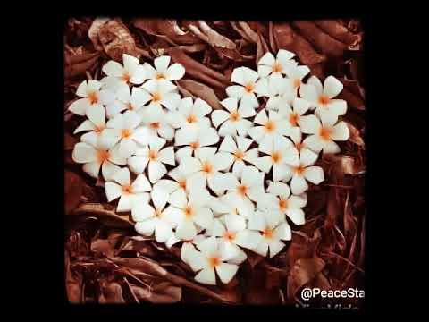 سيبقى اشتياقى