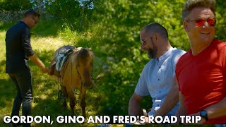 Gino Gets A Small Horse To Ride | Gordon, Gino and Fred's Road Trip