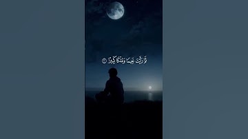لا تهرب اسمع القرآن الكريم 🥺🥺❤