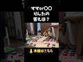 ママor〇〇、りんたの答えは？【会話ボタンでしゃべる犬】 #shorts #犬
