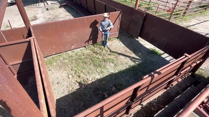 Utilizing the Bud Box