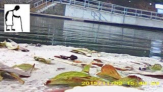 MiniCam on the Paper Boat on Clevedon Marine Lake