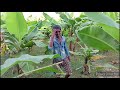 kela chor bhojpuri comedy | केला चोर भोजपुरी कॉमेडी | #dkgcomedy13 @ManiMerajVines #comedy