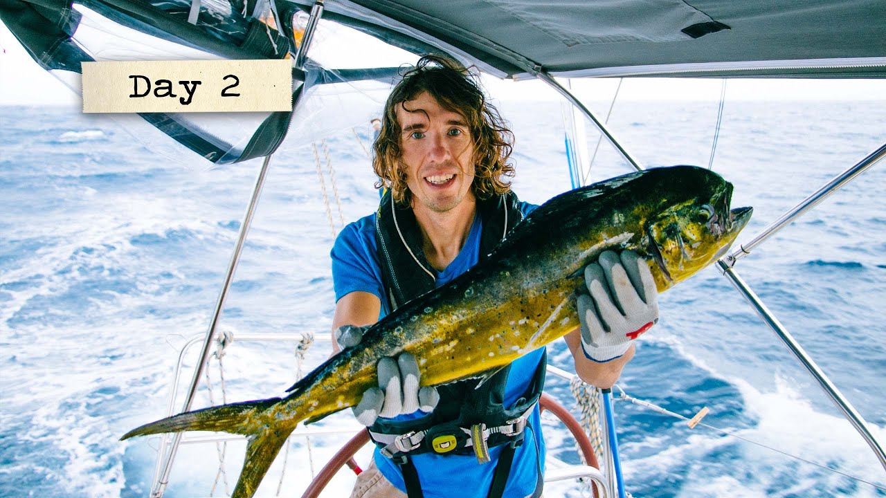 Fishing success out of Cape Verde!  // Atlantic Crossing Daily Vlog #2