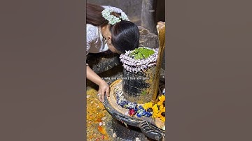 🥀✨🌿नसीब वालों को मिलते हैं फिक्र करने वाले🌼🕉️🍁#shorts #trending #mahadev #youtubeshorts #shortvideo