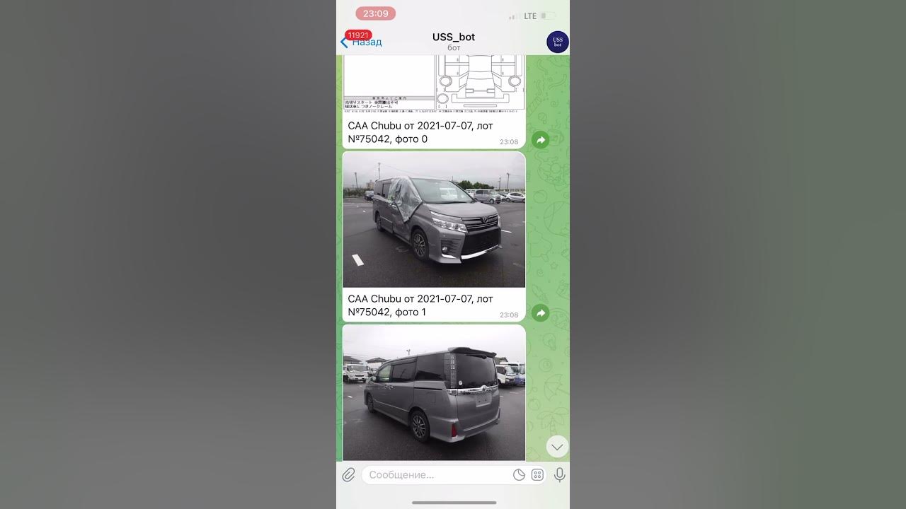 Проверка авто по гос номеру