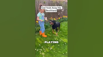 I pray this never happens to anyone 🥺. #shorts #shortsfeed  #helping #respect