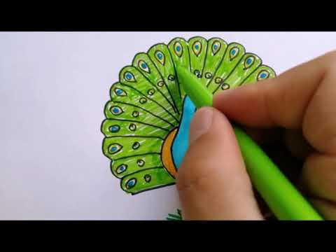 T'den Tavus kuşu çizimi /Harfleri öğreniyorum /çocuklar için çizim ve boyama videoları