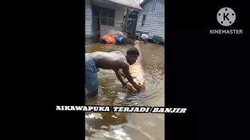 Lagu kamoro awap 2025