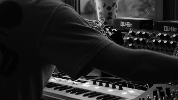 Modular performance starring [ Qu-bit Surface, Squarp Rample, Mimeophon, Moog Subharmonicon ++ ]