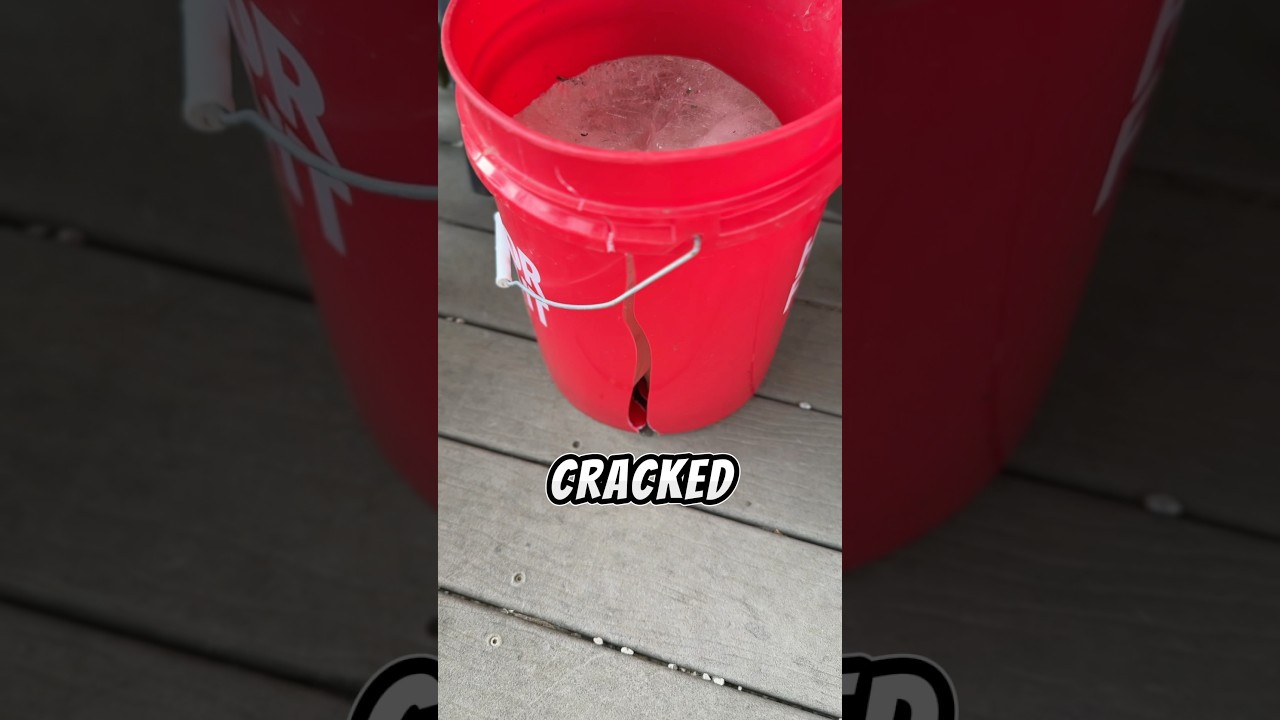 ИСПОРЧЕННЫЙ рыболовный эксперимент…