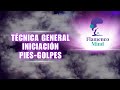 Flamenco Tecnica General Pies Golpes nivel Iniciacion #tecnicaflamenco #flamenco #danza#danzaespañol