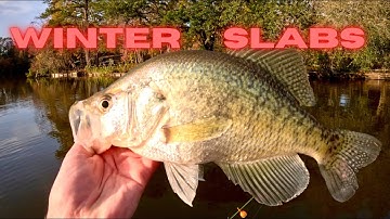 WINTER CRAPPIE FISHING with a SUBSCRIBER! December Slabs!