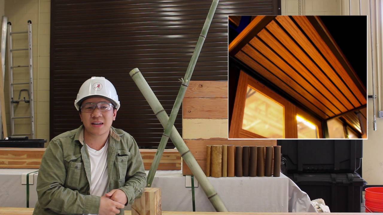 BambooX - Technical (Crimson Startup Summer 2016)