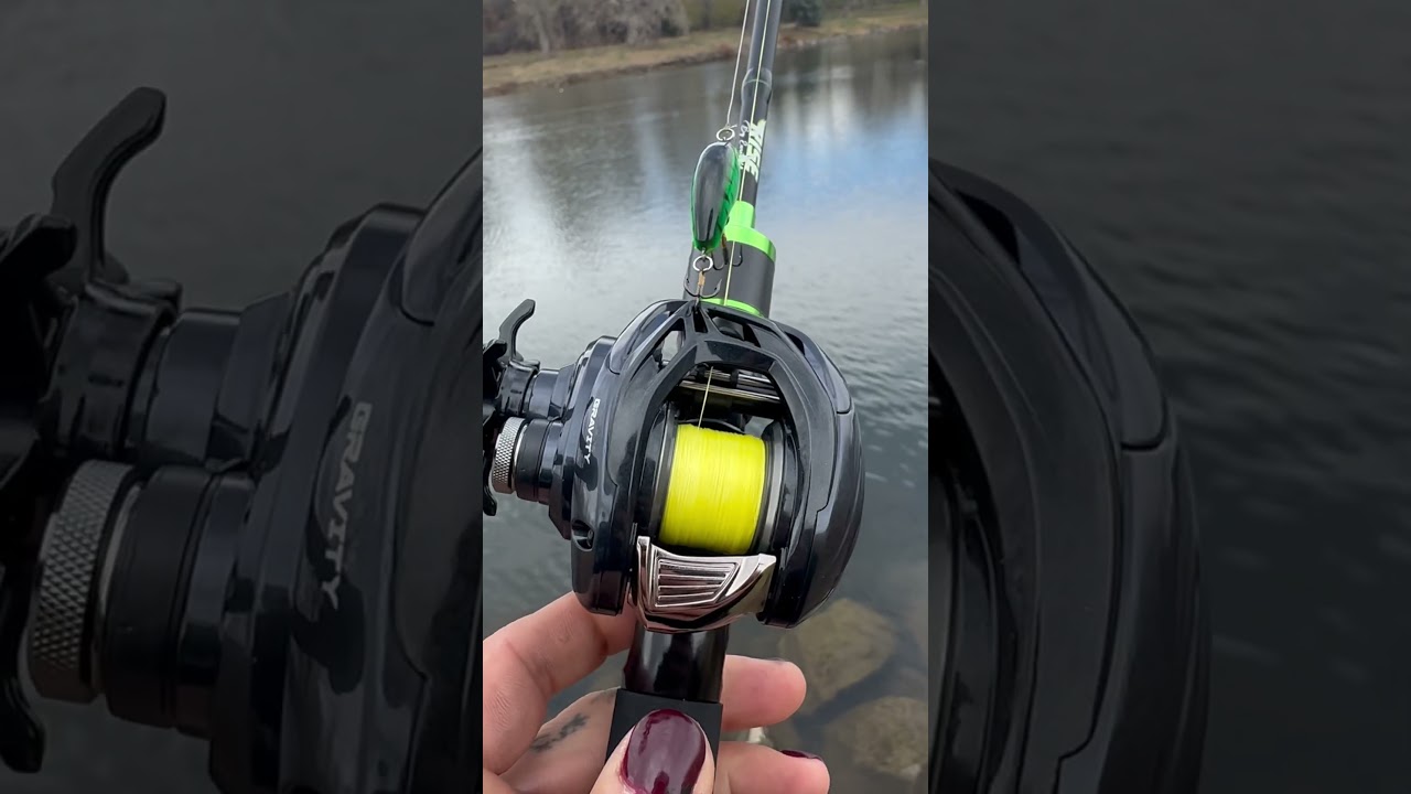 Eurotackle Rise/Ark Gravity BFS (2.5g bait) 