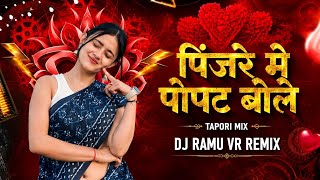 Pinjre Mein Popat Bole Dj Song / Tapori Mix / Old Dj Song Meri Maina Dj Ramu VR Remix