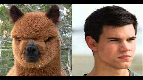 Morse Code Practice #1 - 3 wpm