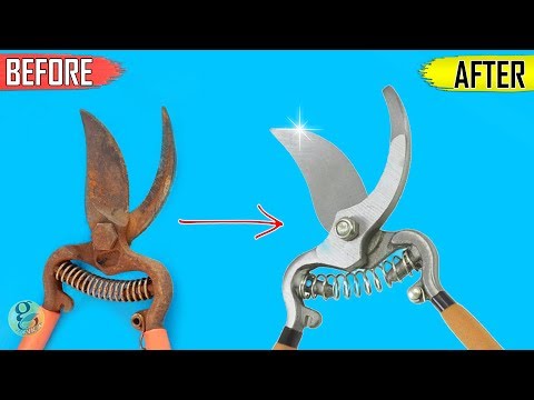 Video: Secateurs Raco: Characteristics Of Models 4218-53 / 303, 4206-53 / 142C, RT53 / 143S And Others. How To Choose A Garden Tool?