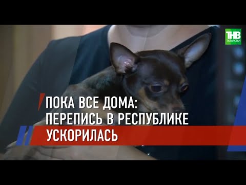 В нерабочую неделю перепись в Татарстане идёт быстрее | ТНВ