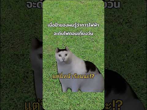 ป้าร้อน.. 🥵🌡️💣🔥💢#การไฟฟ้า#ซ่อมไฟ#ดับไฟ#ตัดไฟ#หน้าร้อน#ฤดูร้อน#ร้อนตับแตก#ป้า