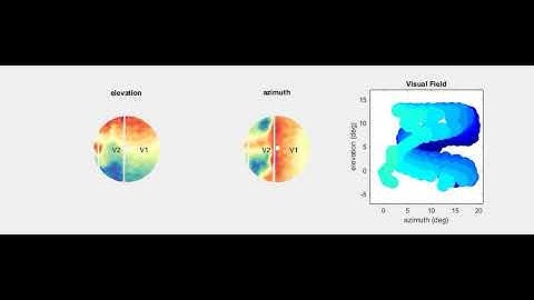 Movie S1. Retinotopy maps in tree shrew V1 and V2
