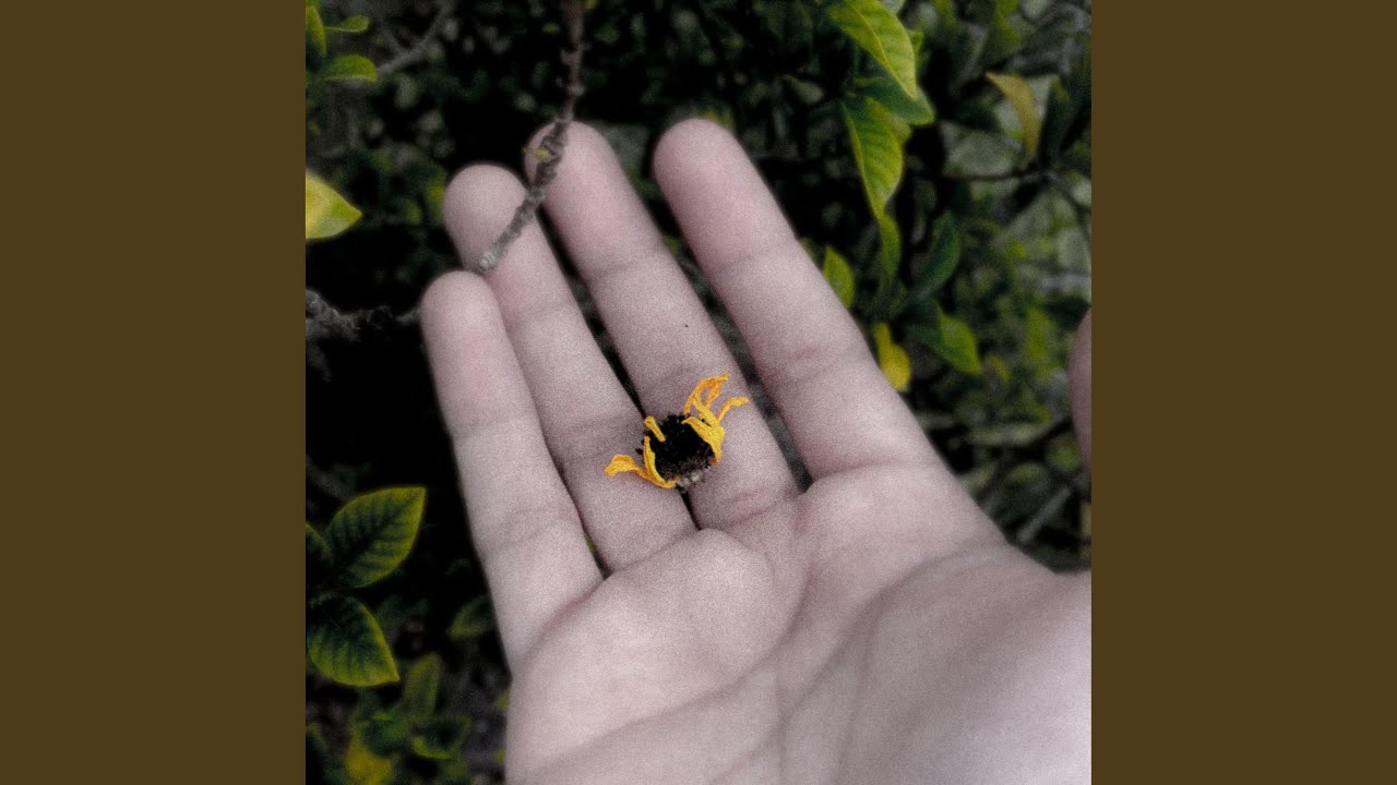 Watch Untitled2 on YouTube Watch Untitled2 on YouTube