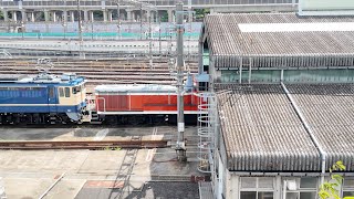 EF65 1115 [2024.8.17] 