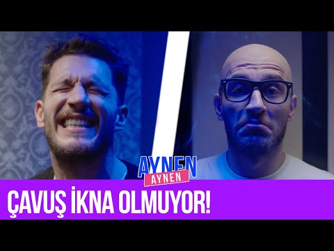 Çavuş İkna Olmuyor! I Aynen Aynen