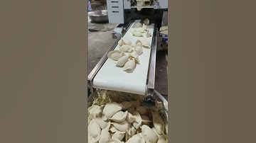 MNS-150 Dumpling Maker Machine (www.menasenmachinery.com)