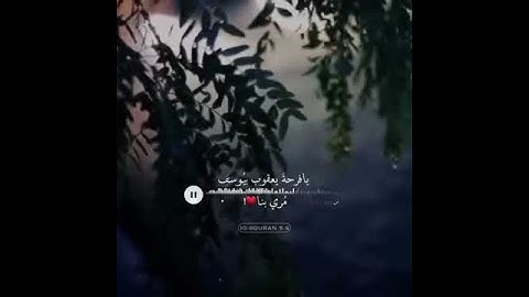 سورة يوسف ||وجاائو على قميصه بدم كذب||