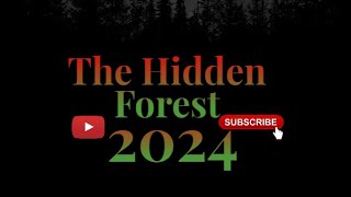 The Hidden Forest | 2024 | New Netflix Movie | Horror |