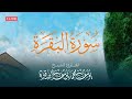 استمع لسورة البقرة كاملة بصوت الشيخ يوسف الصقير مع كتابة الآيات بث مباشر استمع لسورة البقرة كاملة بصوت الشيخ يوسف الصقير مع كتابة الآيات بث مباشر