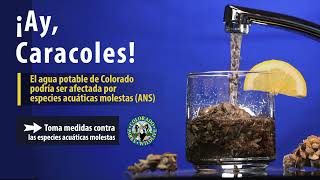 ¡Ay, Caracoles! Limpia, Drena, y Seca - Video 3