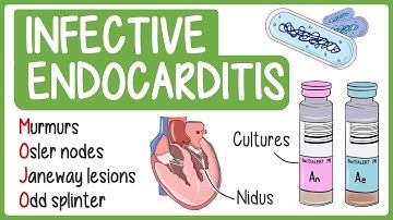 Infective Endocarditis Visually Explained