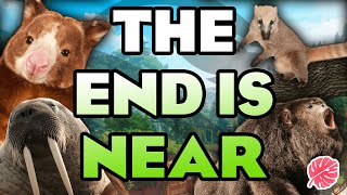 ⏰ What Animals Are MISSING From Planet Zoo Before It Ends?