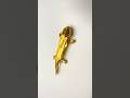 折り紙オオサンショウウオのストップモーション動画。 #gold #origami #オオサンショウウオ #Giantsalamander #salamander