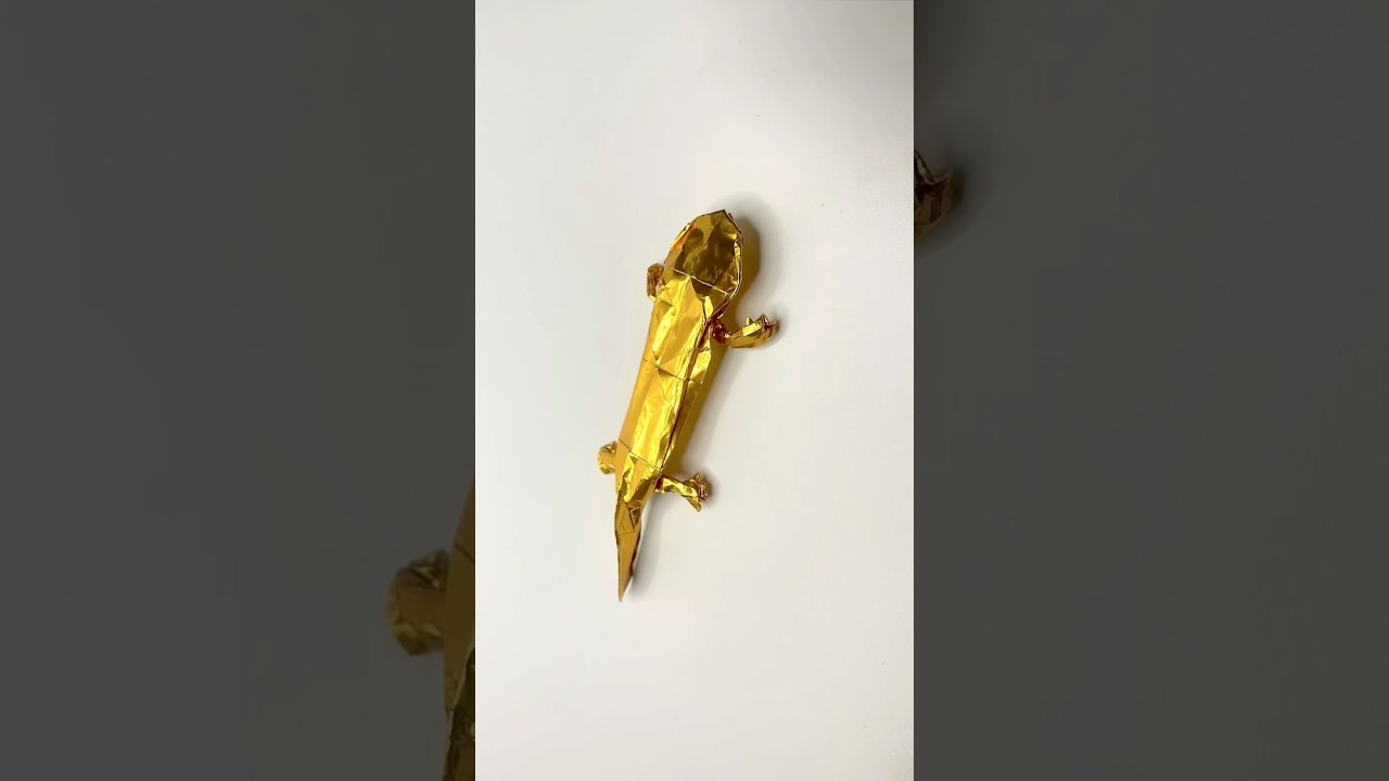折り紙オオサンショウウオのストップモーション動画。 #gold #origami #オオサンショウウオ #Giantsalamander #salamander
