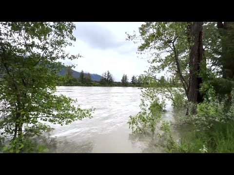 Flood warning issued for Flathead River near Columbia Falls