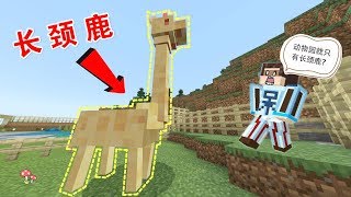 【呆呆cute】我的世界:爆爆开动物园,里面竟只有长颈鹿,亏了我60颗钻石门票